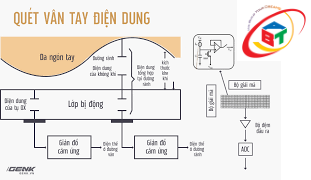 đầu đọc vân tay điện dung